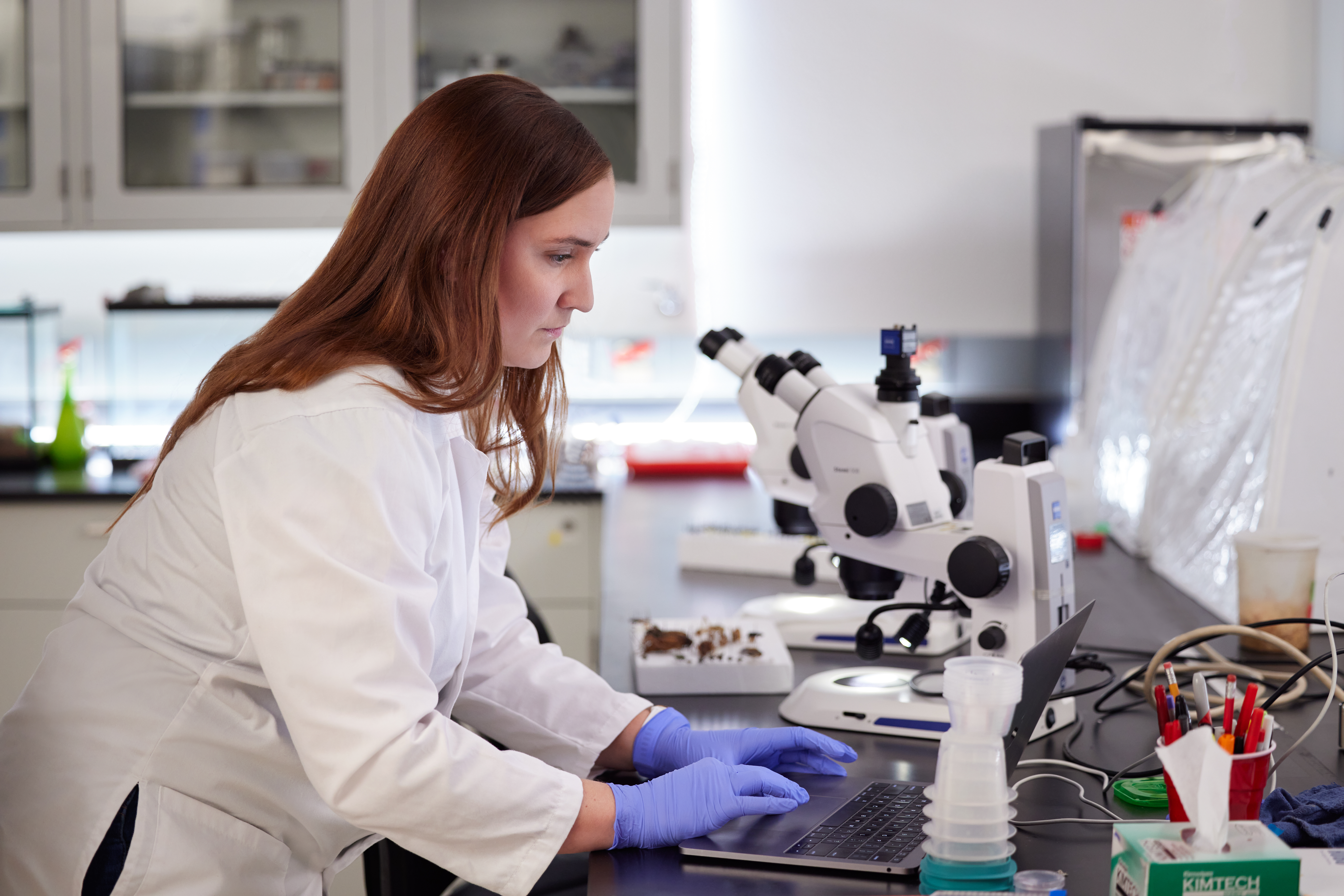 Women in laboratory